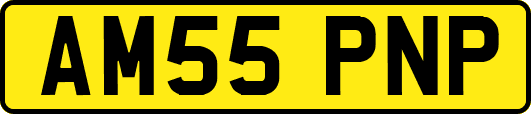 AM55PNP