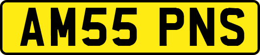 AM55PNS