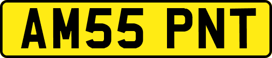 AM55PNT