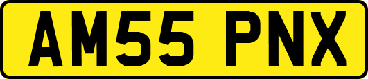 AM55PNX
