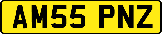 AM55PNZ