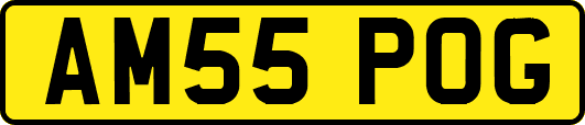 AM55POG