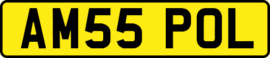 AM55POL