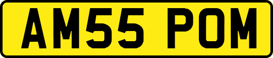 AM55POM
