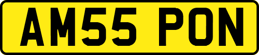 AM55PON