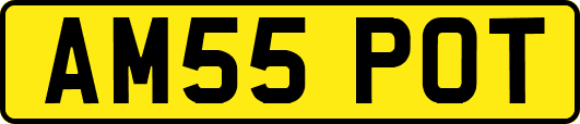 AM55POT