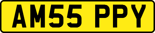 AM55PPY