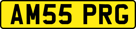 AM55PRG