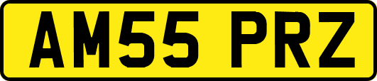 AM55PRZ