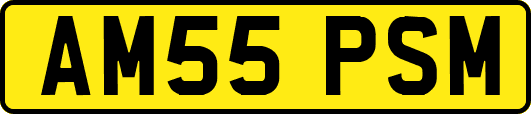 AM55PSM