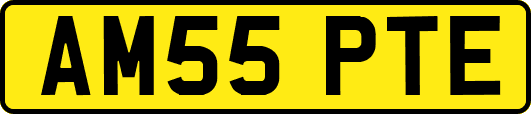 AM55PTE