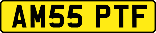 AM55PTF