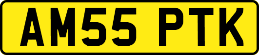 AM55PTK