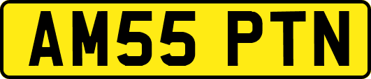 AM55PTN