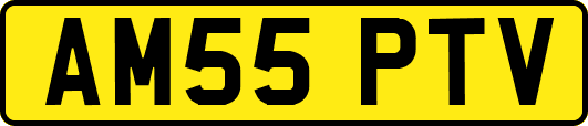 AM55PTV