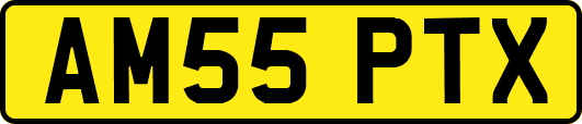 AM55PTX