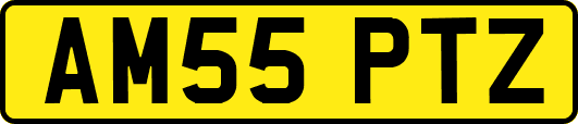 AM55PTZ