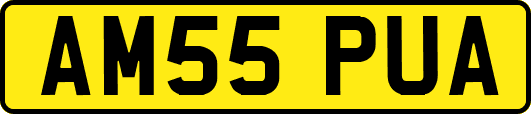 AM55PUA