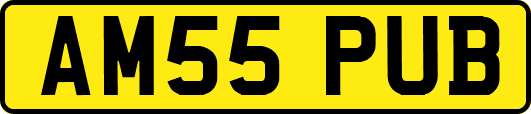 AM55PUB
