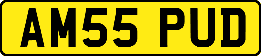AM55PUD
