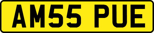 AM55PUE