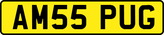 AM55PUG