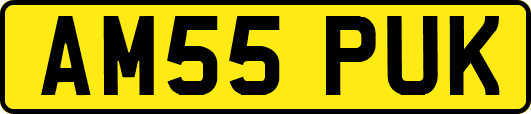 AM55PUK