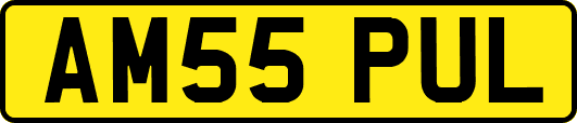 AM55PUL