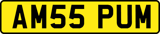 AM55PUM