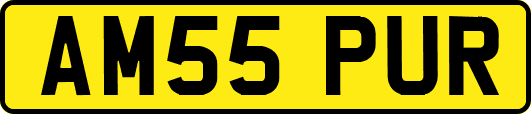 AM55PUR