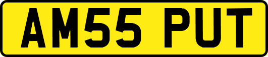 AM55PUT