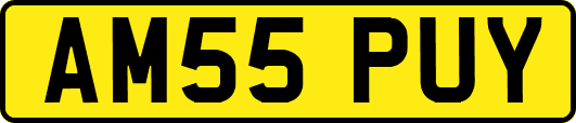 AM55PUY