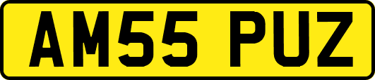 AM55PUZ