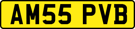 AM55PVB