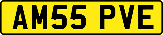 AM55PVE