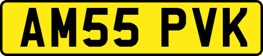 AM55PVK