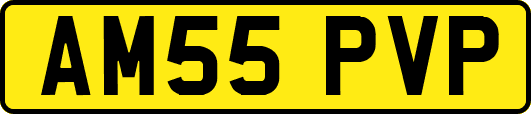 AM55PVP