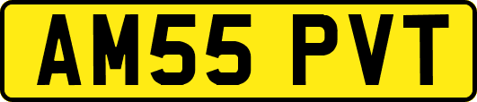AM55PVT