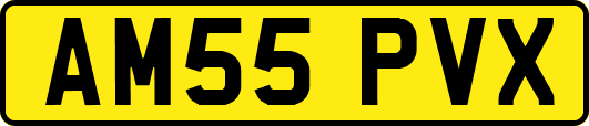 AM55PVX