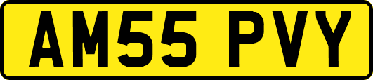 AM55PVY