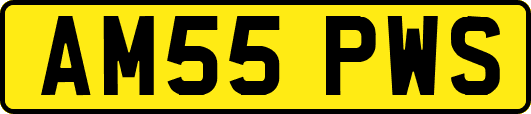 AM55PWS