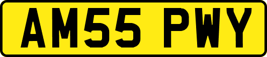 AM55PWY