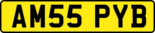 AM55PYB
