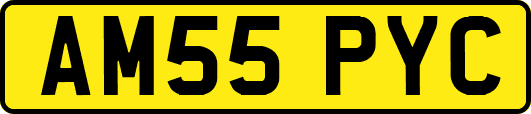 AM55PYC