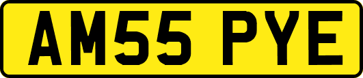 AM55PYE