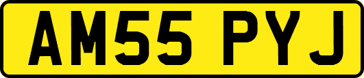 AM55PYJ