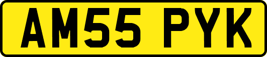 AM55PYK
