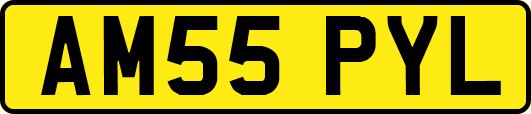 AM55PYL