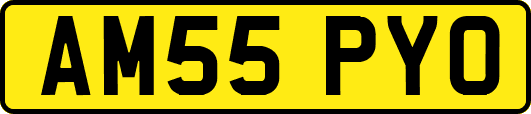 AM55PYO