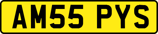 AM55PYS